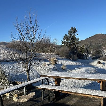 Lovely Apartment In Nature With Sauna! 波斯托伊纳 外观 照片